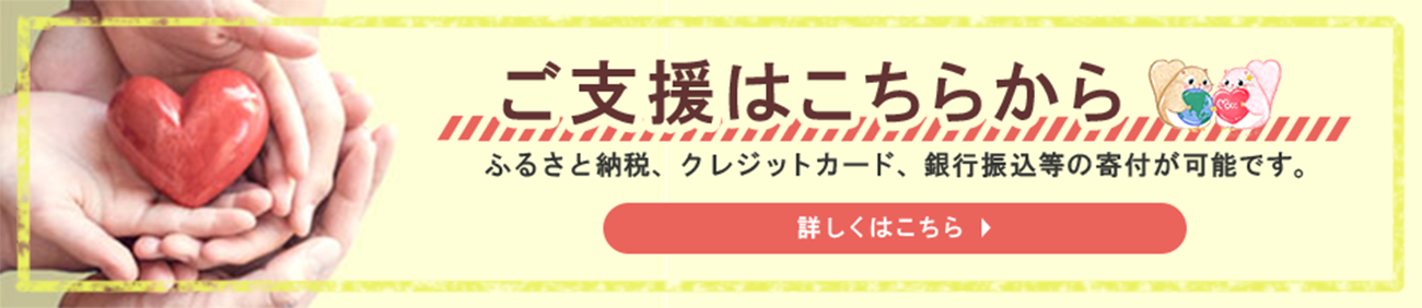 ご支援はこちらから　ふるさと納税、クレジットカード、銀行振り込み等の寄付が可能です。